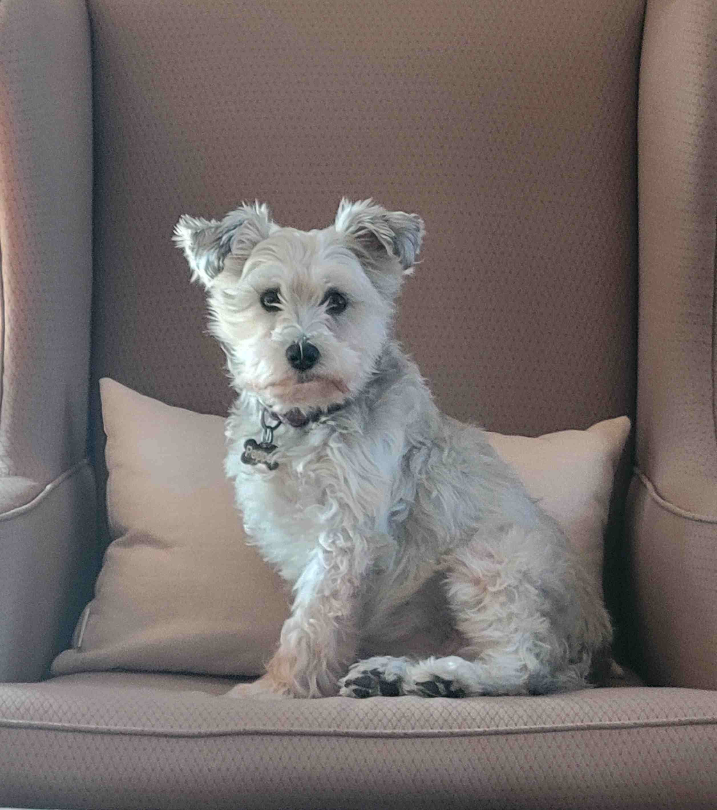 2022-11-23 Pepper.jpg